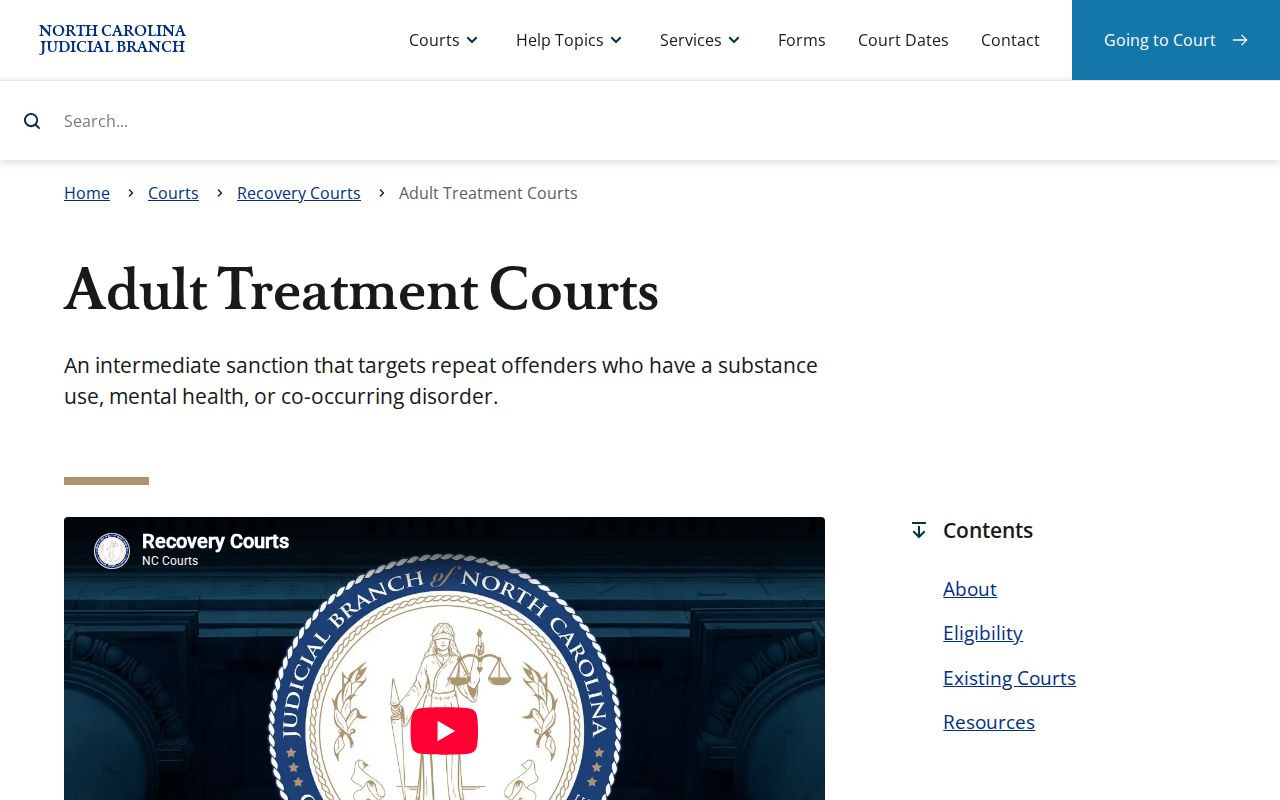 Halifax County criminal docket adult treatment court context